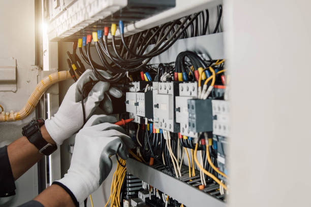 Best Ceiling Fan Installation Electrician  in Blair, WI
